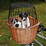 Cestino per bici per cani e gatti Trixie per cane Vimini- GRIGLIA BICI MANUBRIO