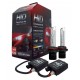 Lampadine H7 D-Gear H7 - HID Canbus Xenon Kit